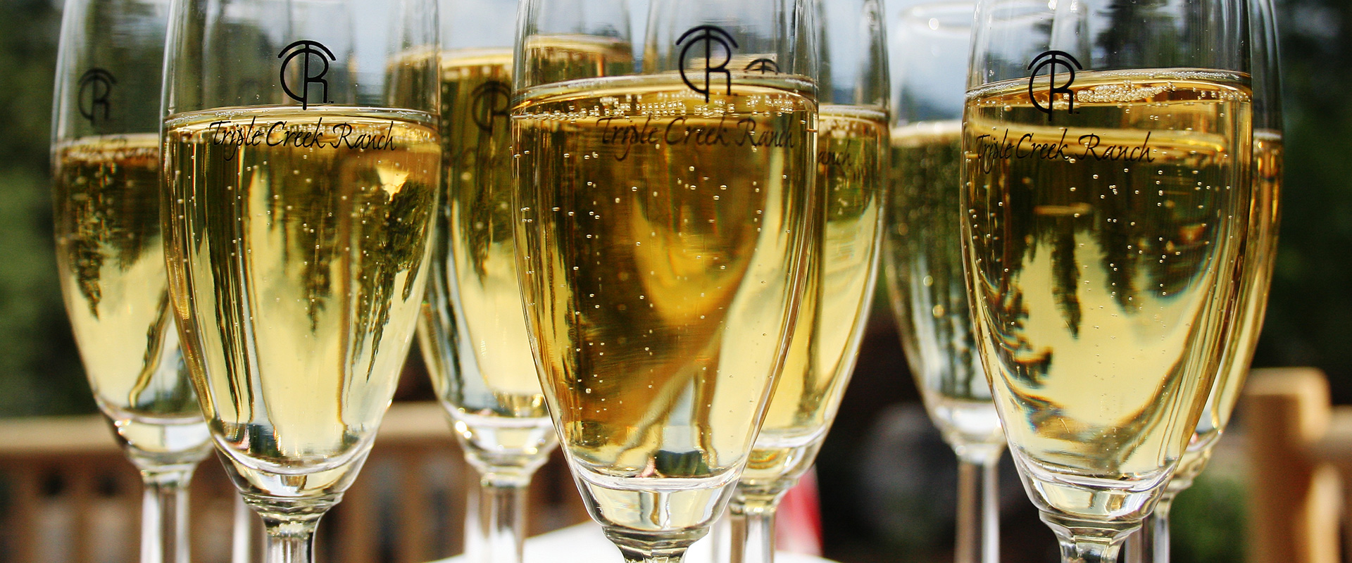 A cluster champagne glasses