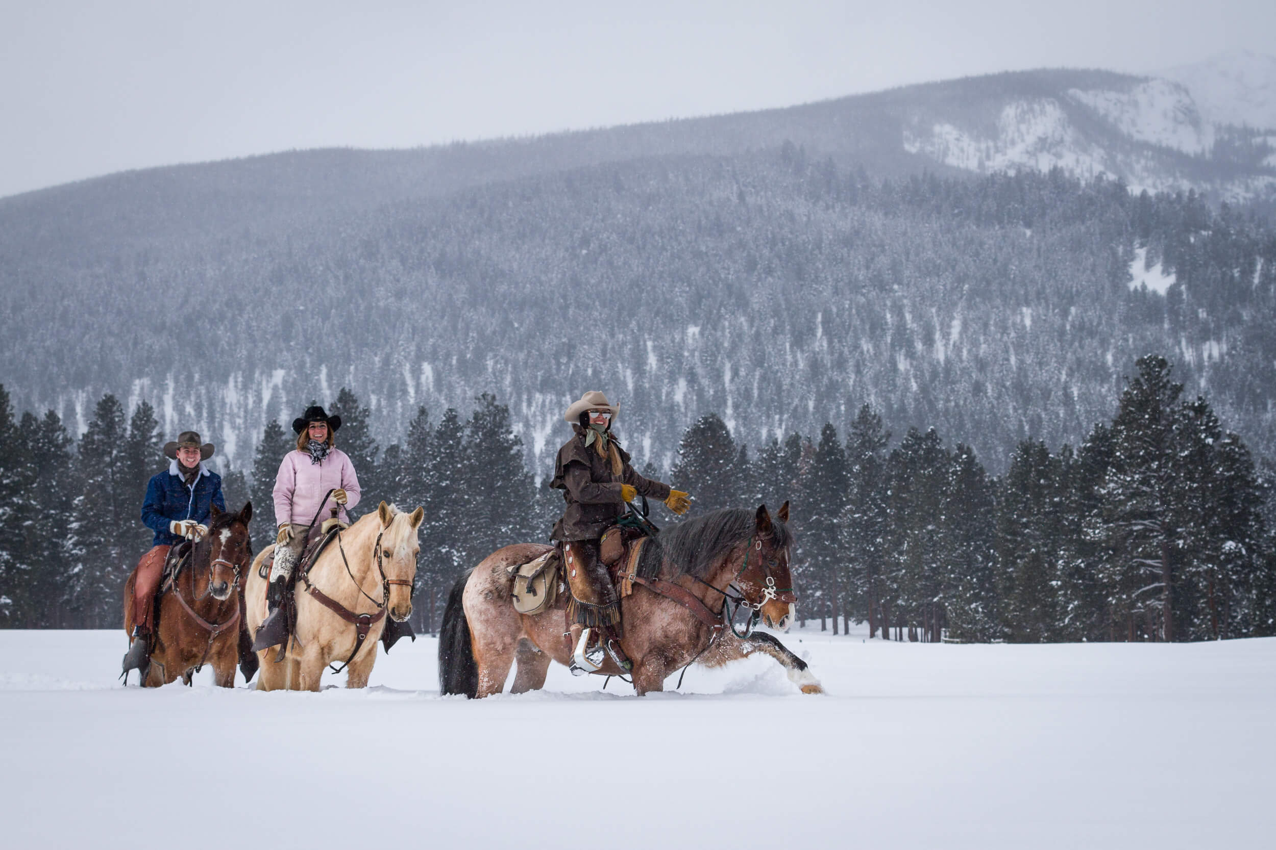 Horseback Riding in Snow