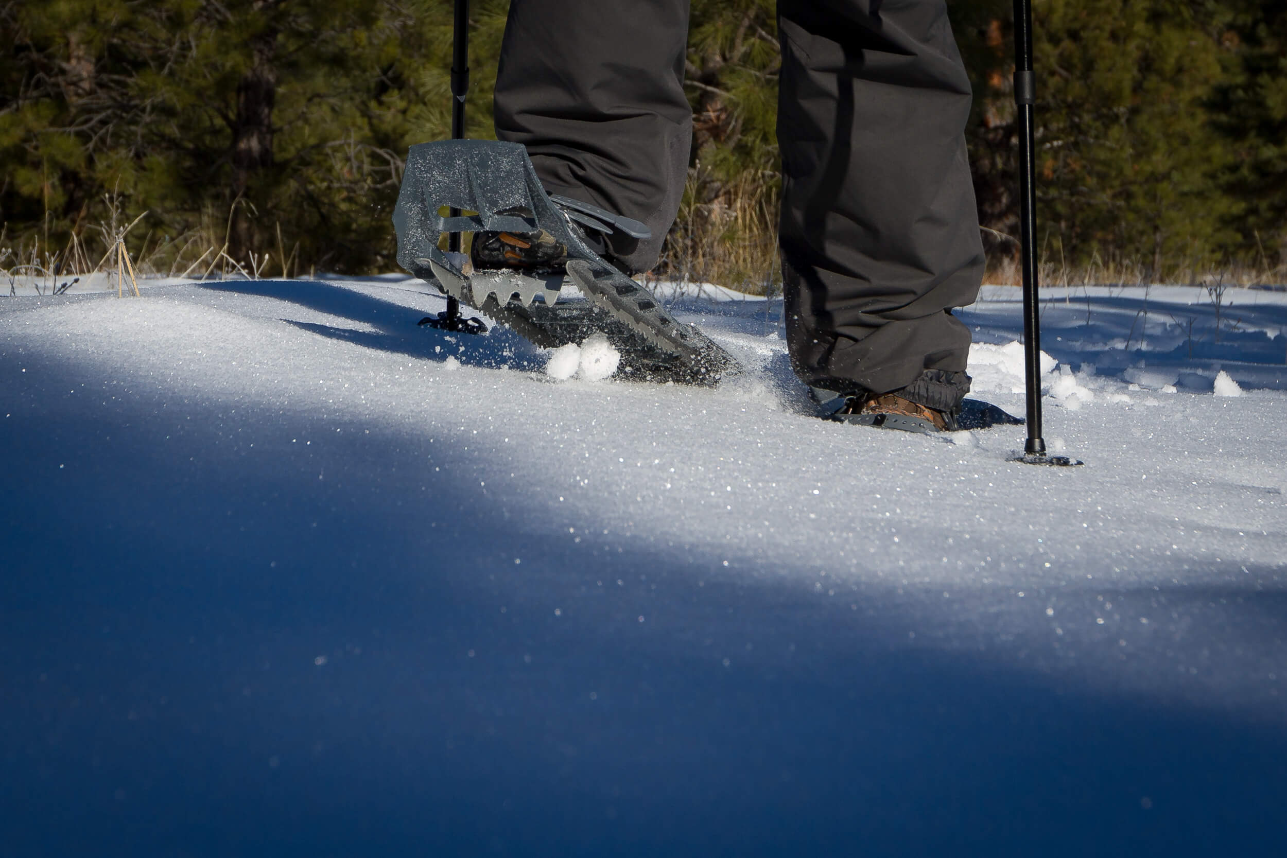 Snowshoeing