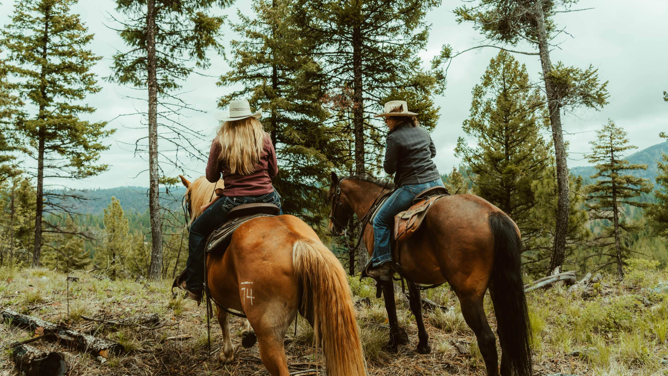 Horseback Trail Ride in the Bitterroot Mountains at Triple Creek Ranch