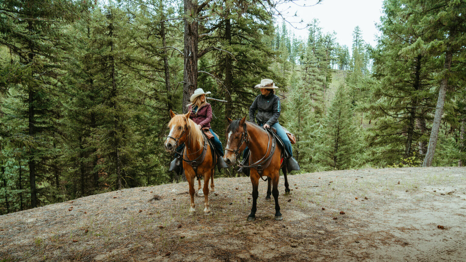 Cowboy School