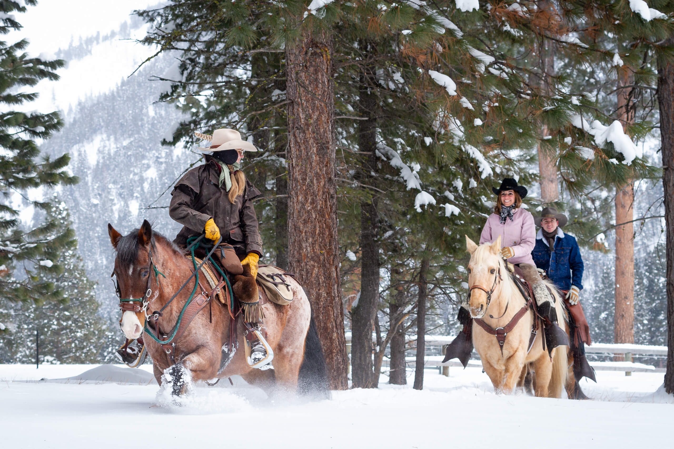 horseback riding in the snow