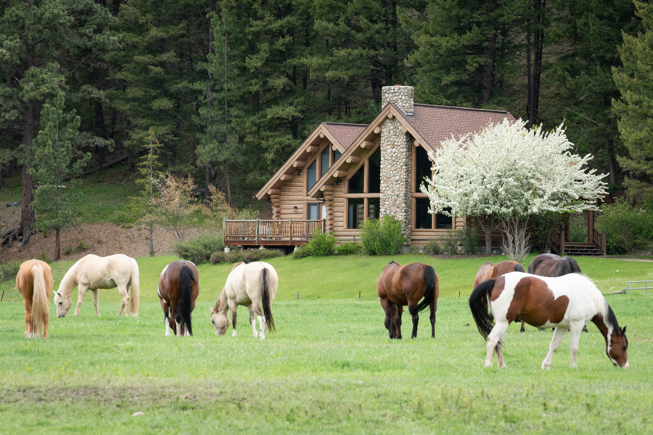 Triple Creek Ranch  Double H Hat Workshop