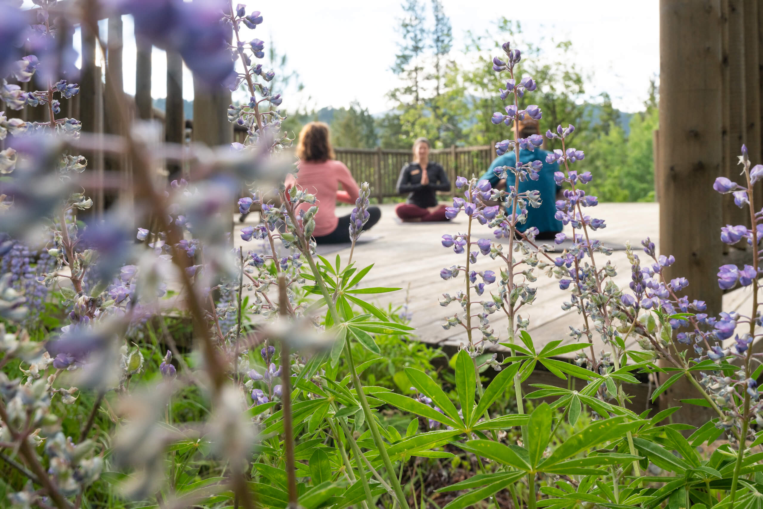 meditating amongst spring flowers