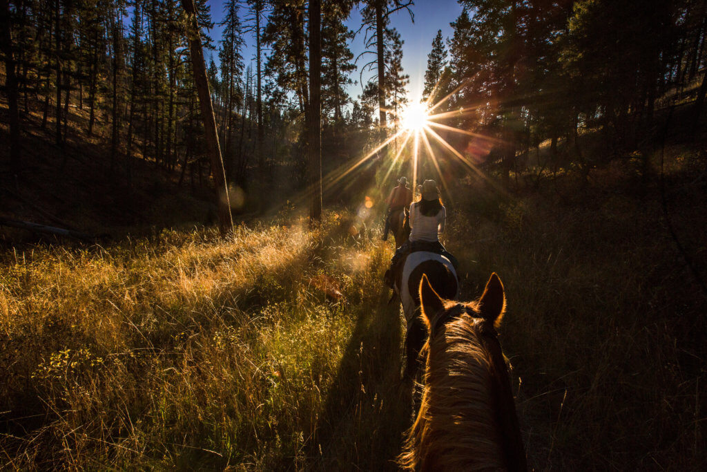 Horseback Riding