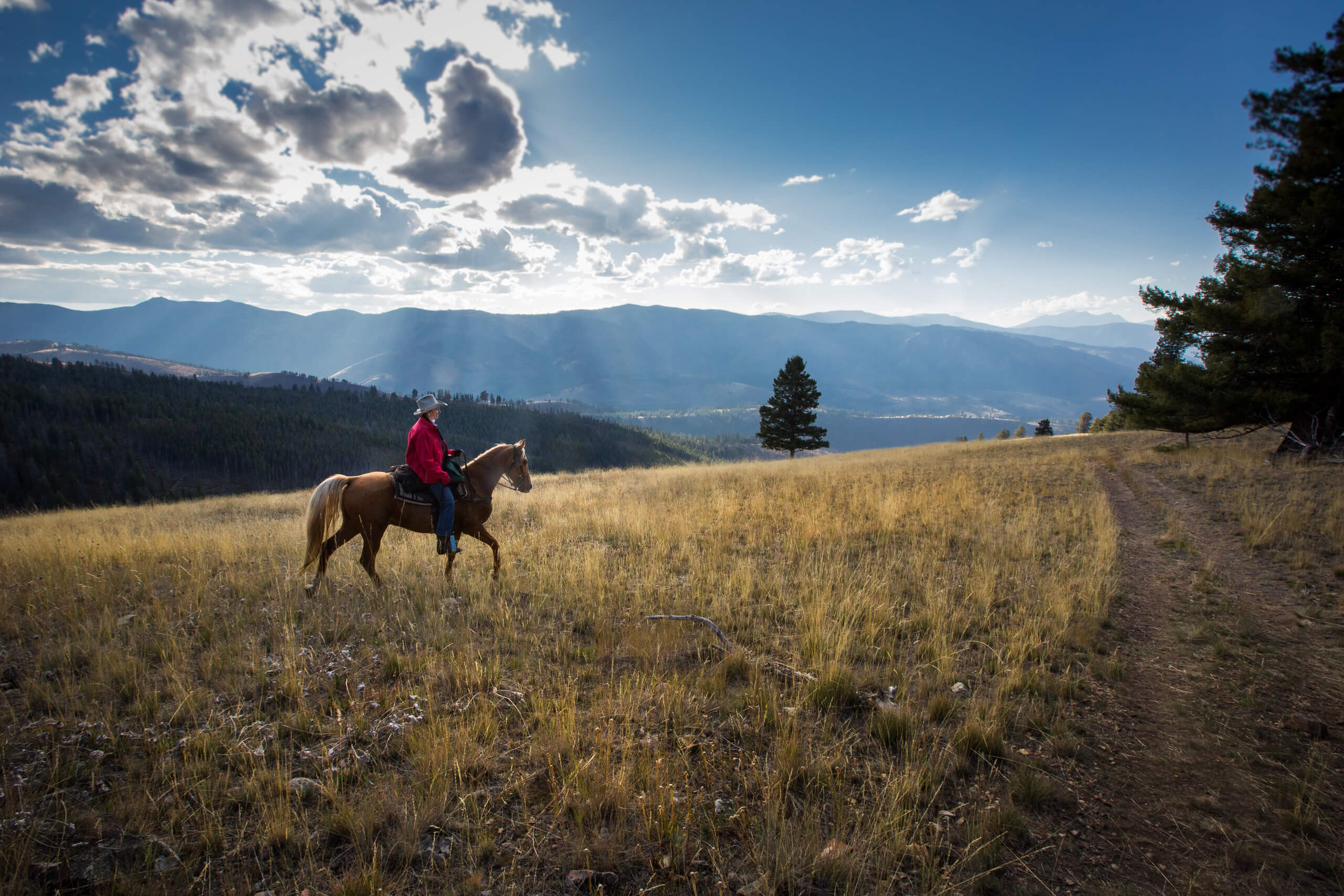 Horseback riding in the mountains