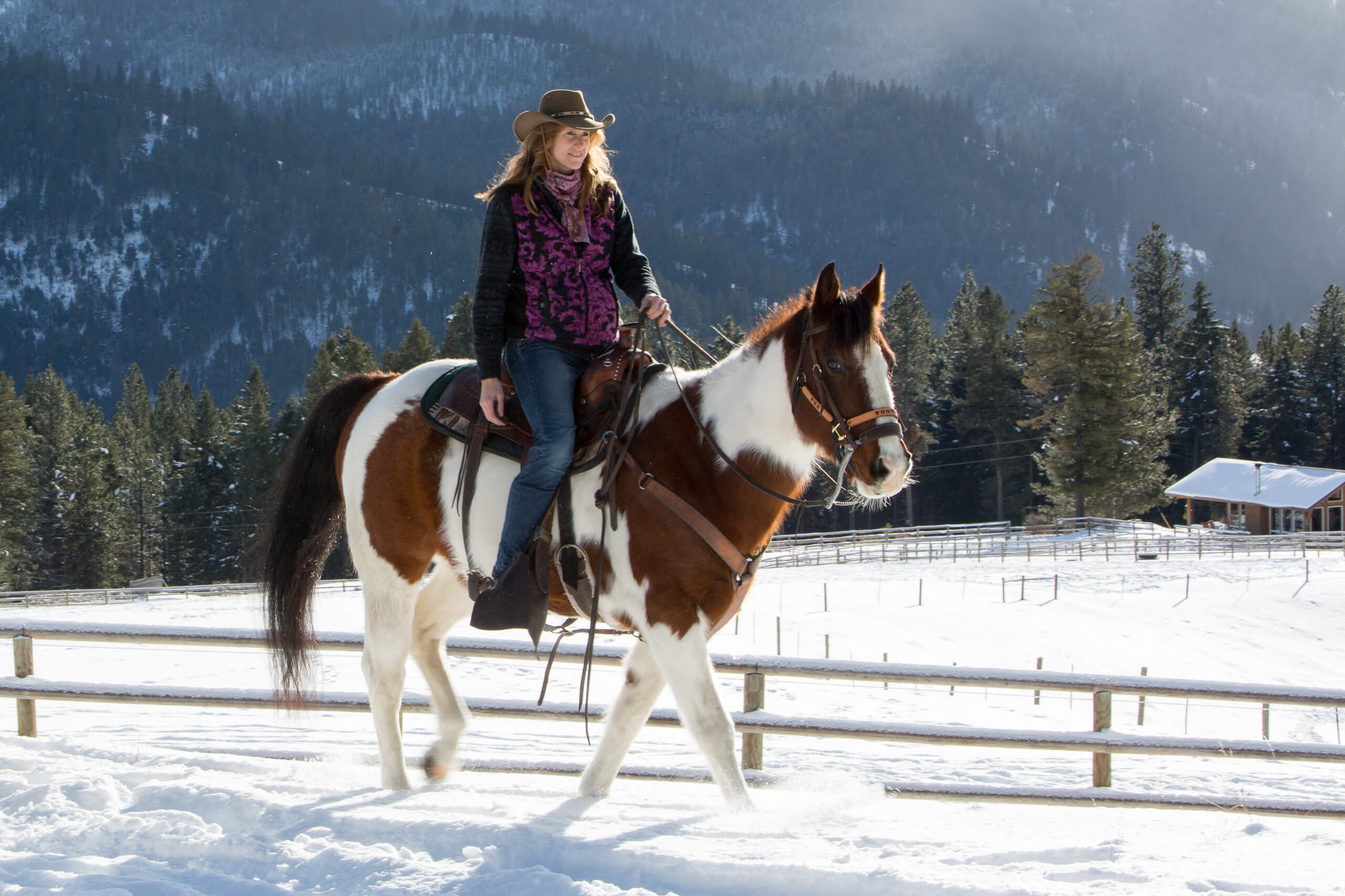 Horseback riding in the Snow