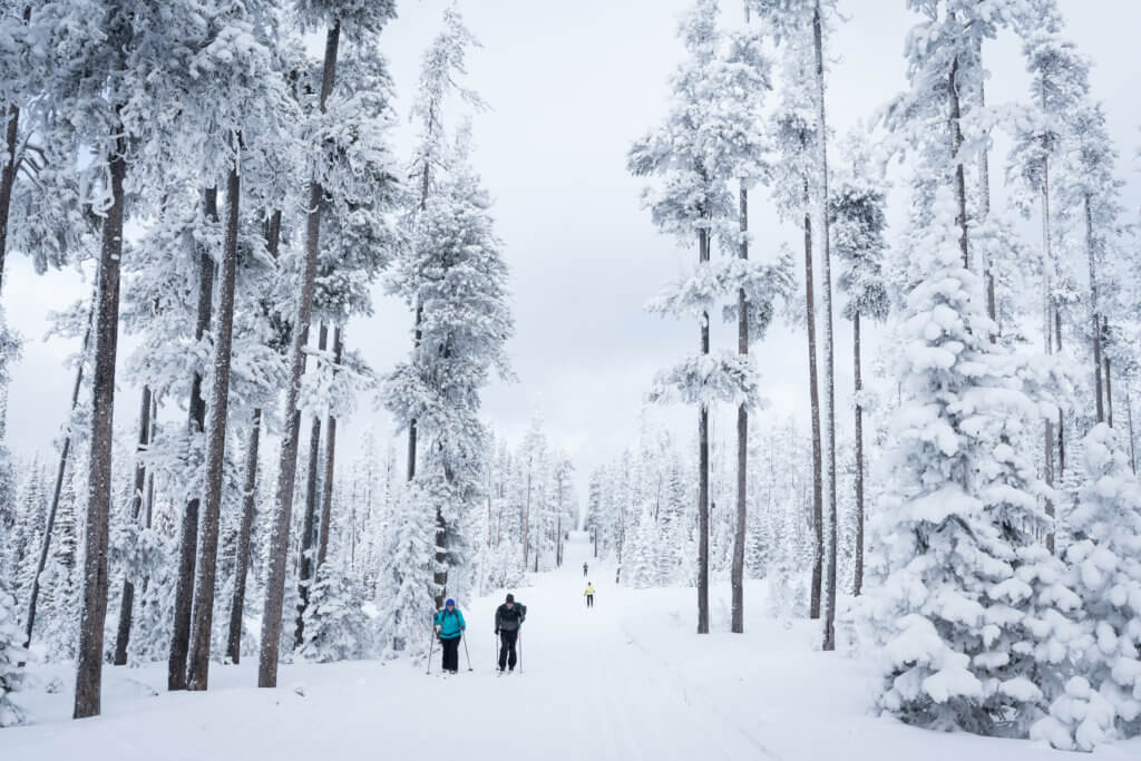 Cross Country Skiing