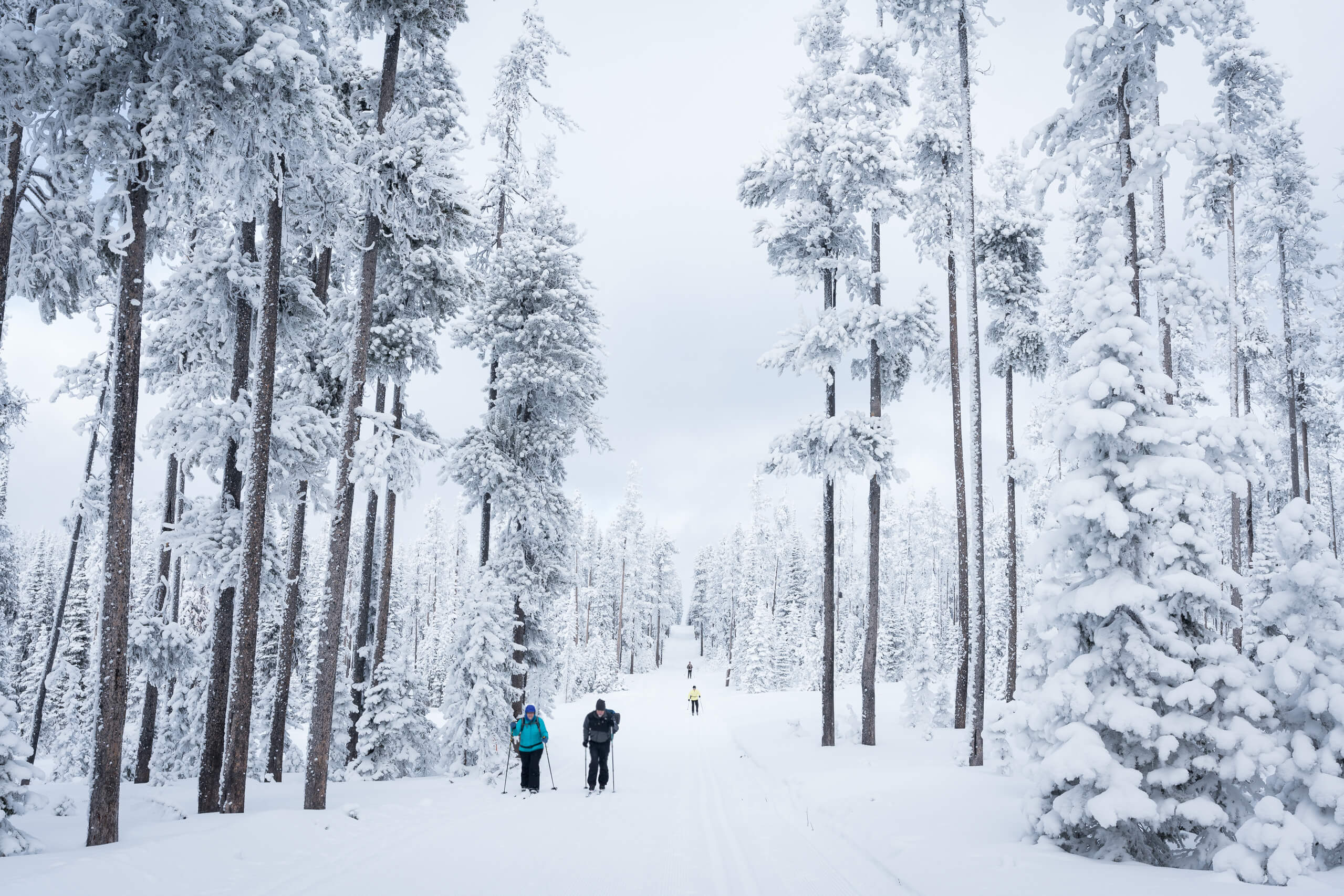 Cross Country Skiing at Chief Joseph mountain