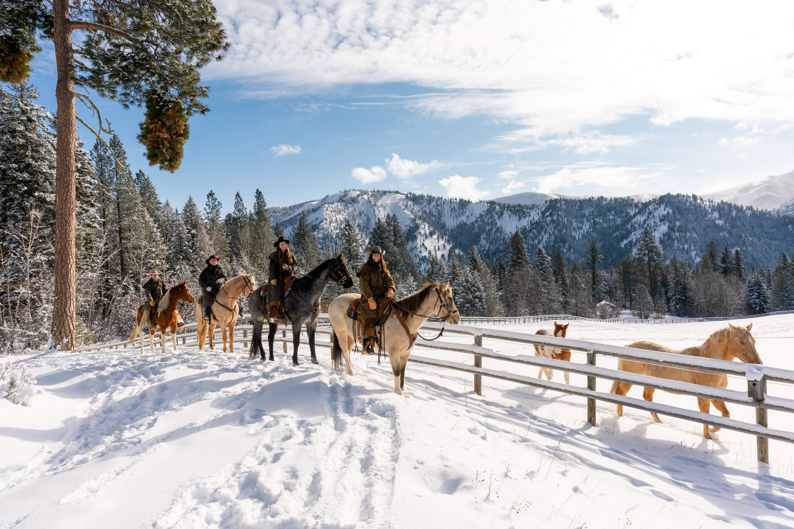 Horseback riding in the snow with a beautiful Mountain View.
