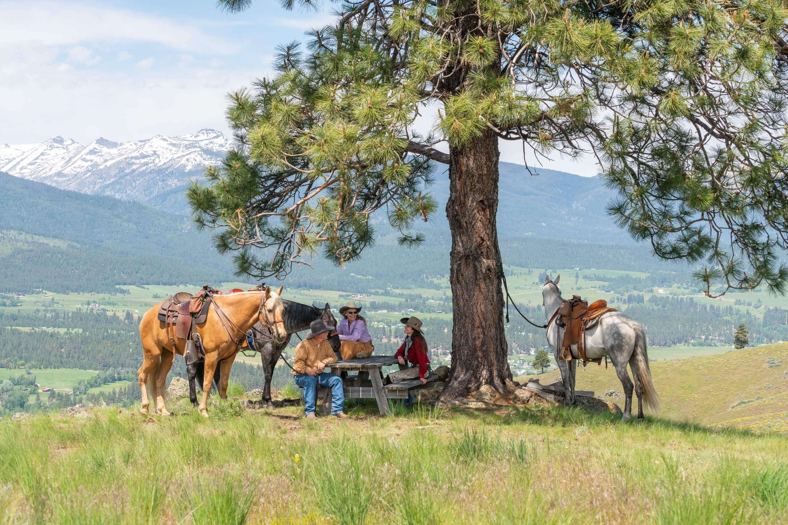 Guests and horses enjoying a lunch at a picnic table on the mountain.
