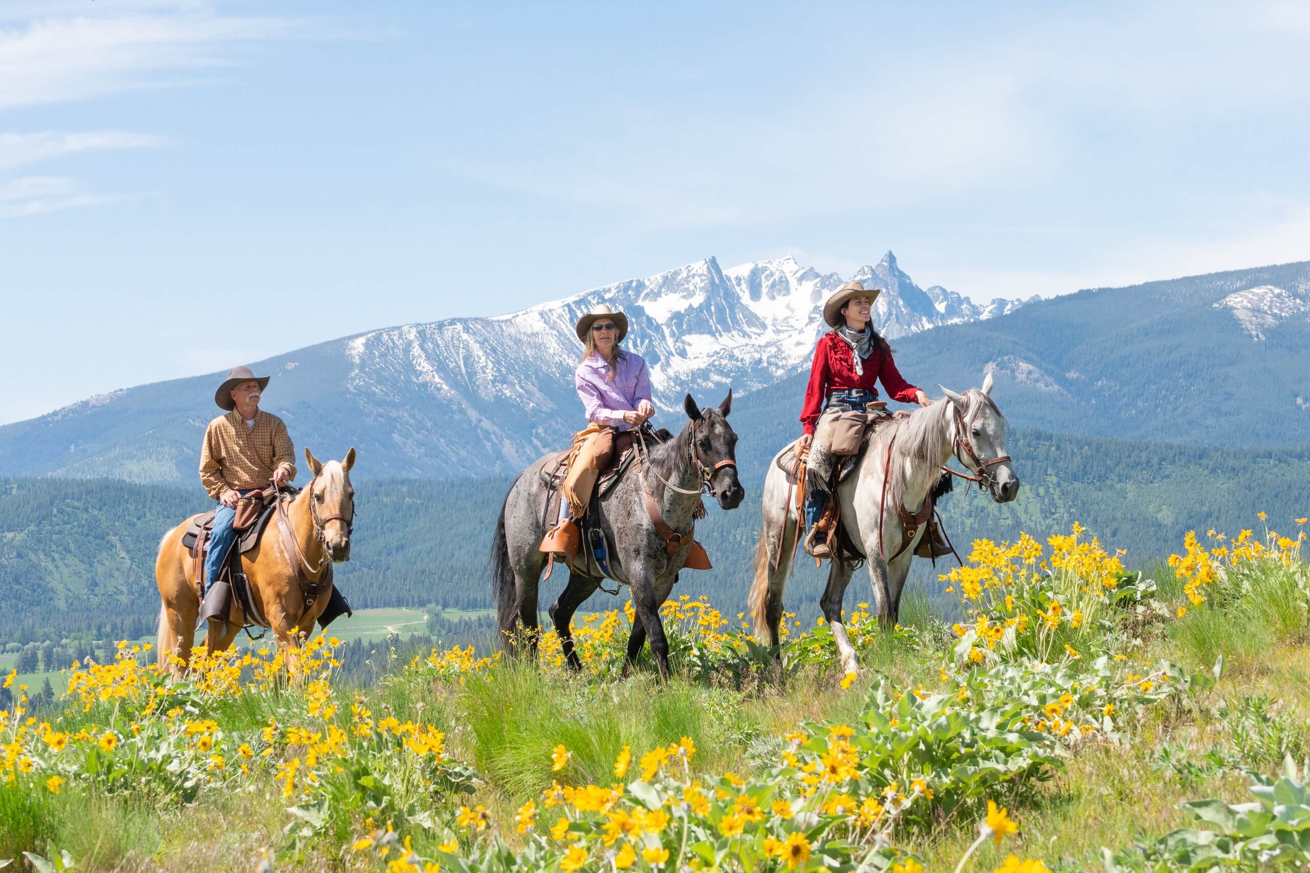 Wrangler and guest on a cross country horseback ride through yellow flowers and a mountain background.