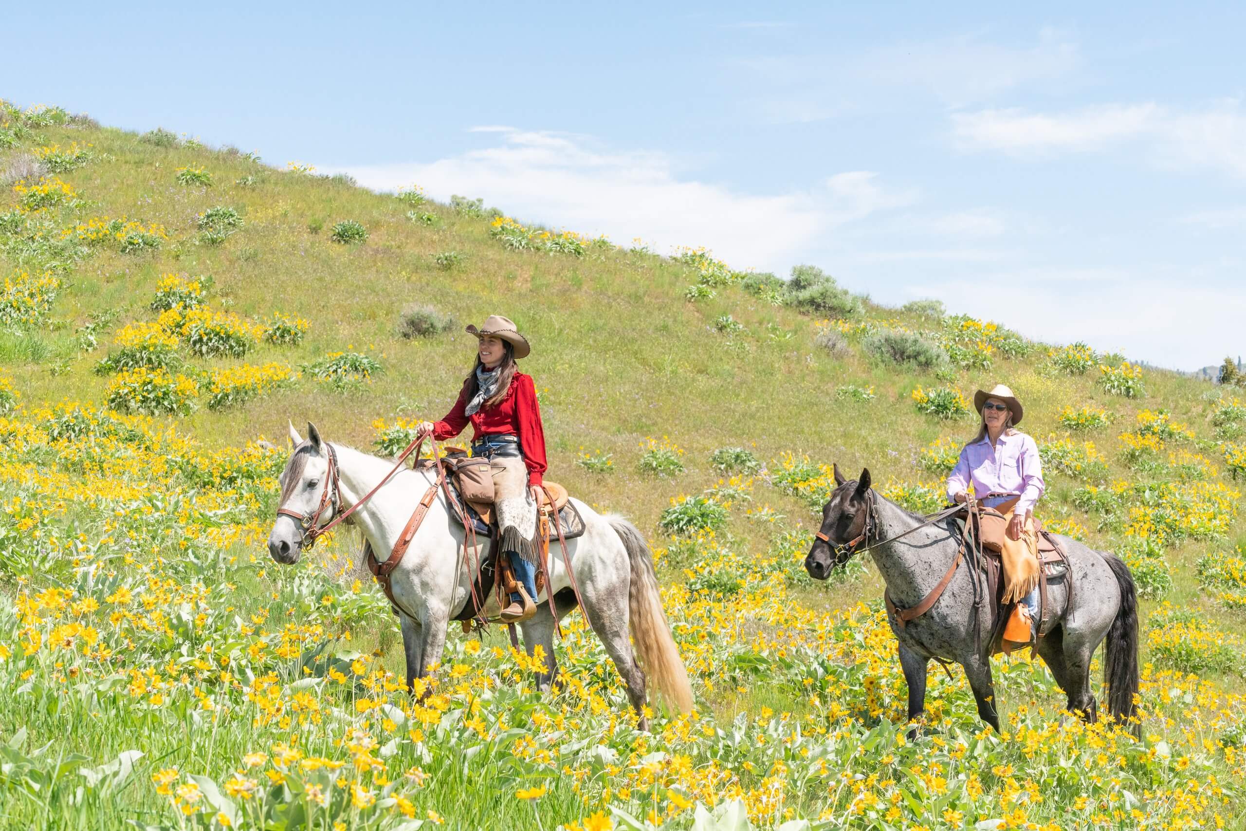 Wrangler and guest on a cross country horseback ride through yellow flowers and a mountain background.