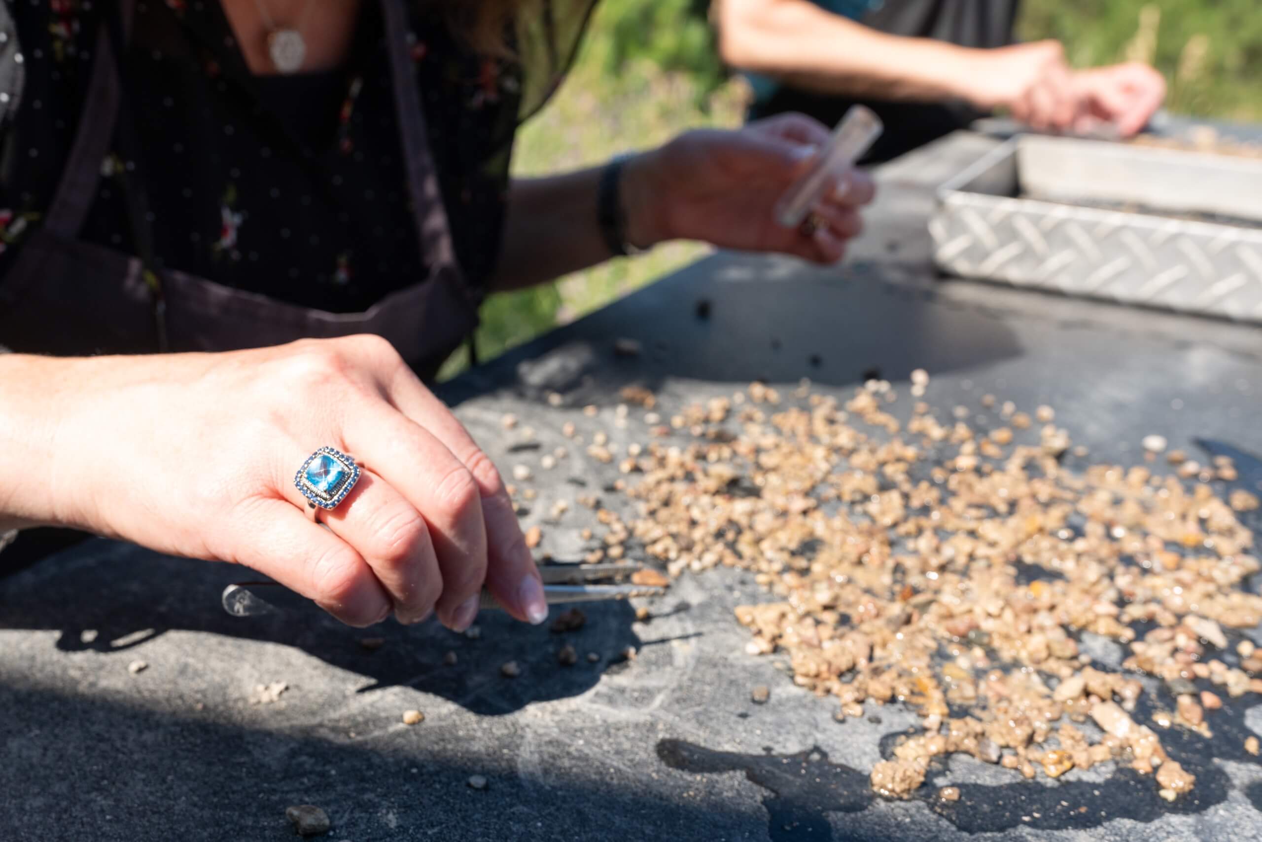 Guests panning for sapphires.