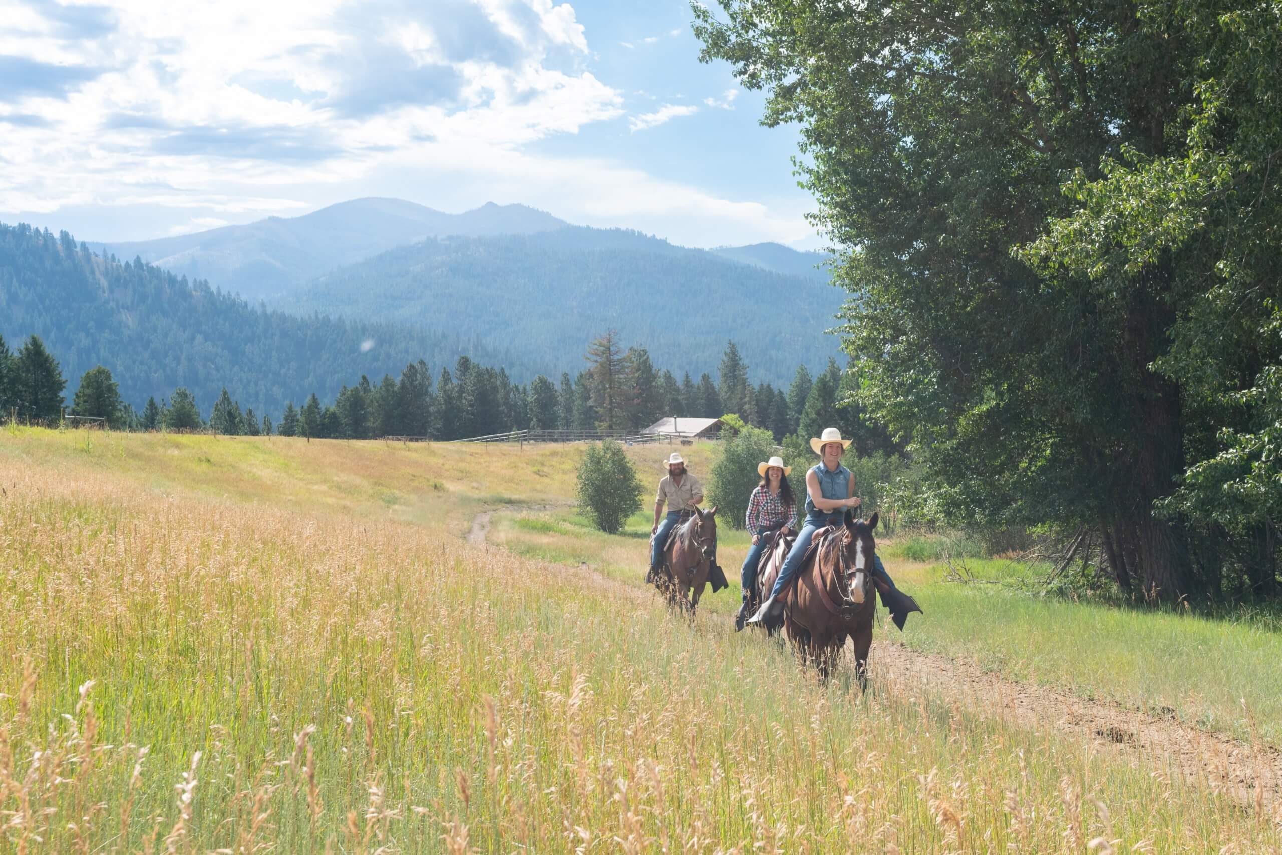 Guests horseback riding through the forest with mountain views.