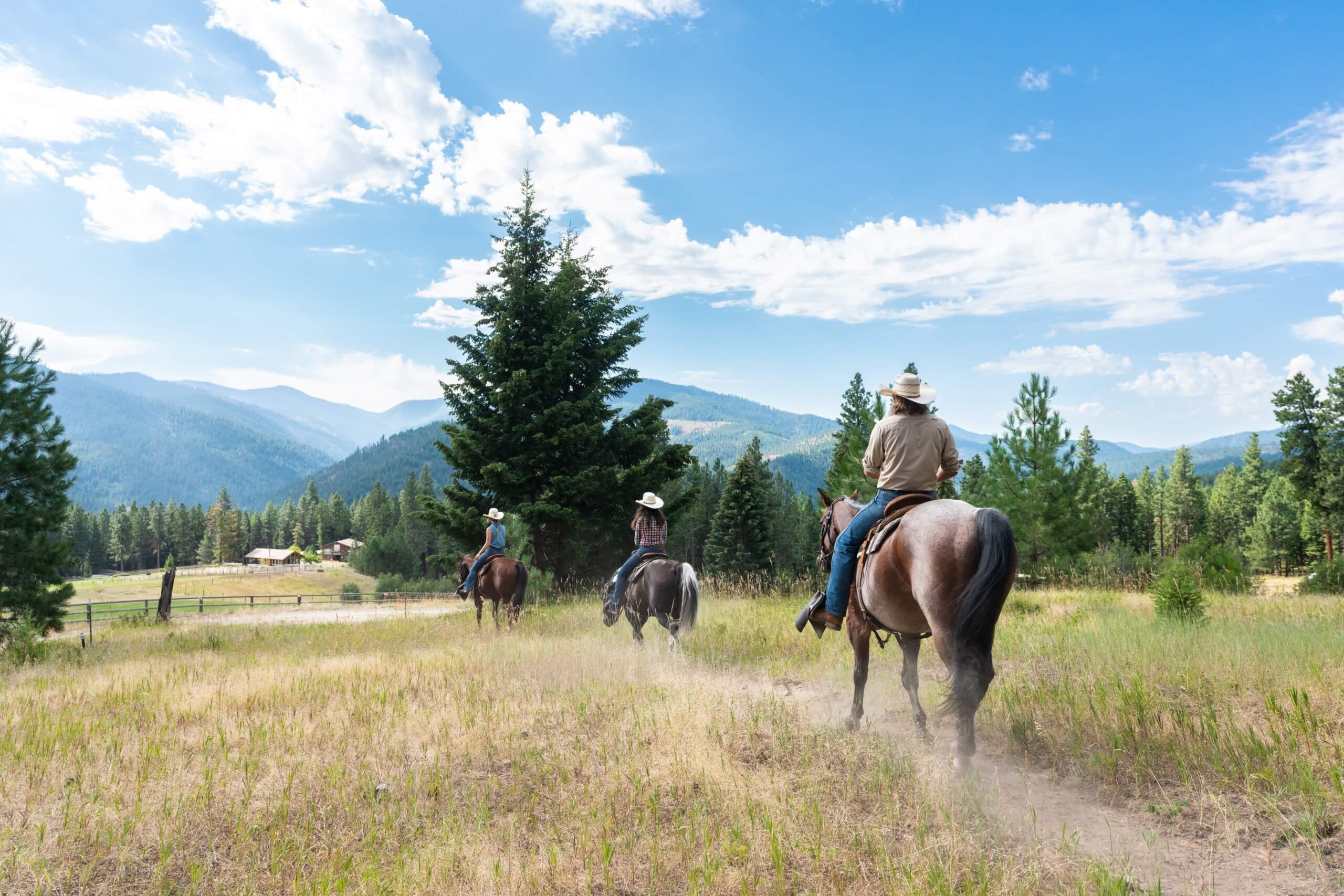 Guests horseback riding through the forest with mountain views.