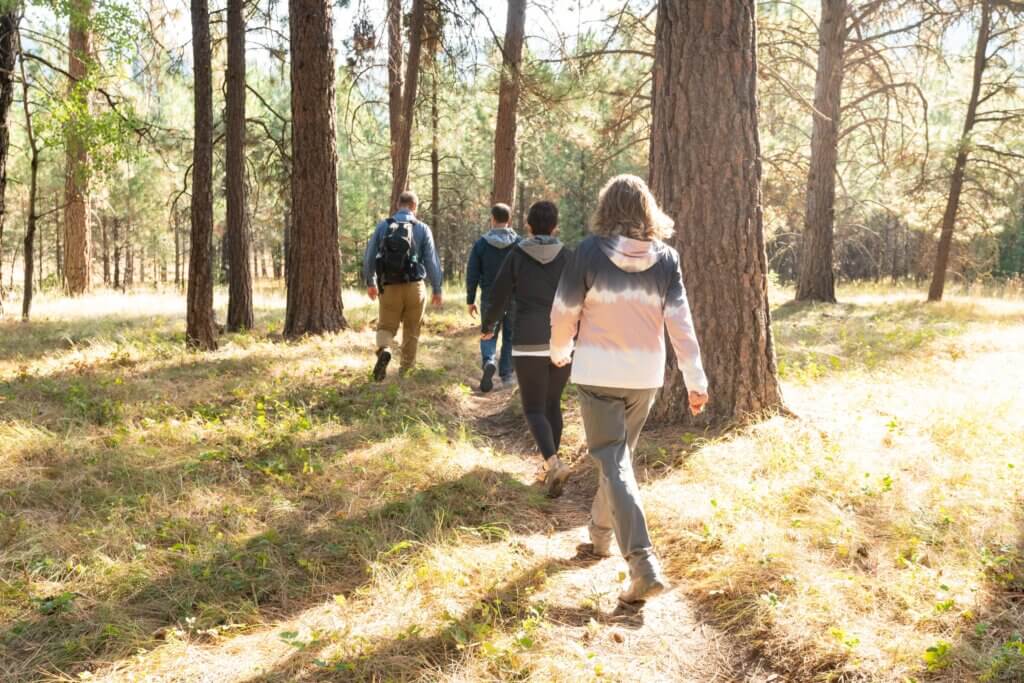 Guided Forest Walk