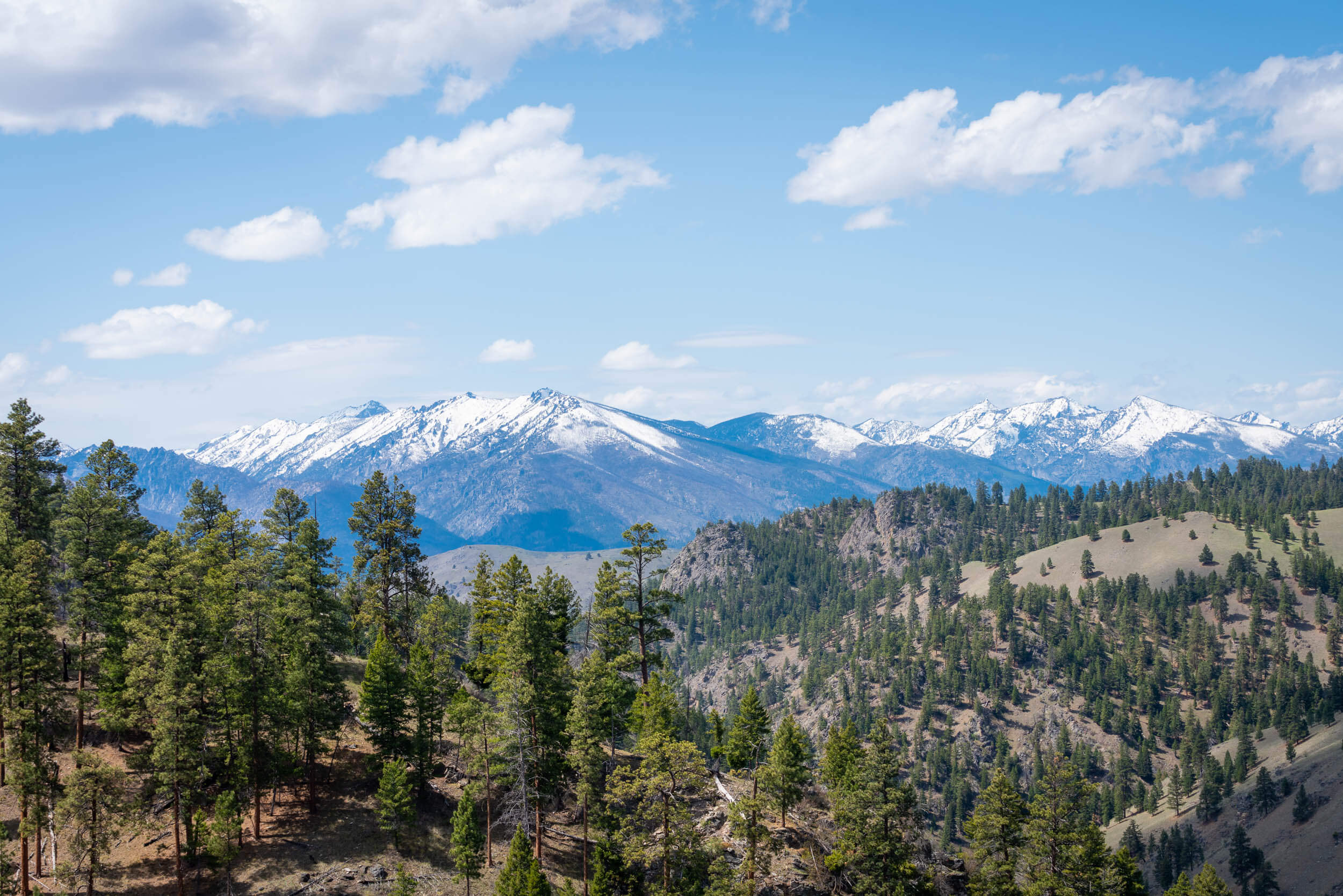 Scenic Vista