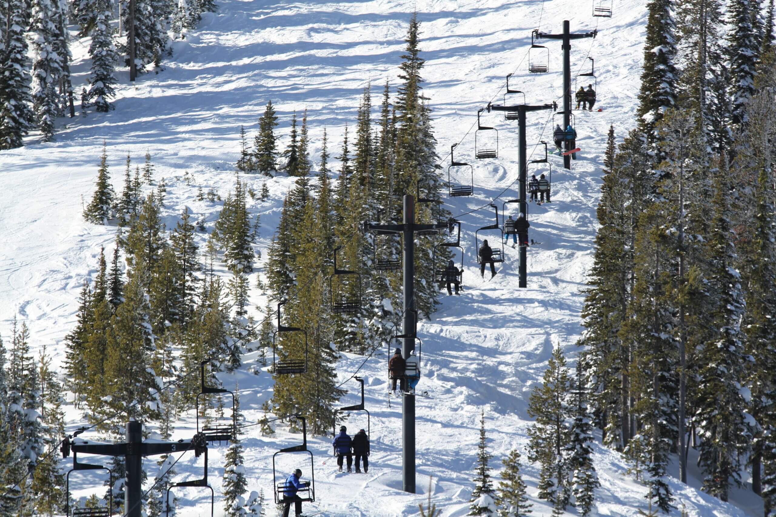 Downhill Skiing