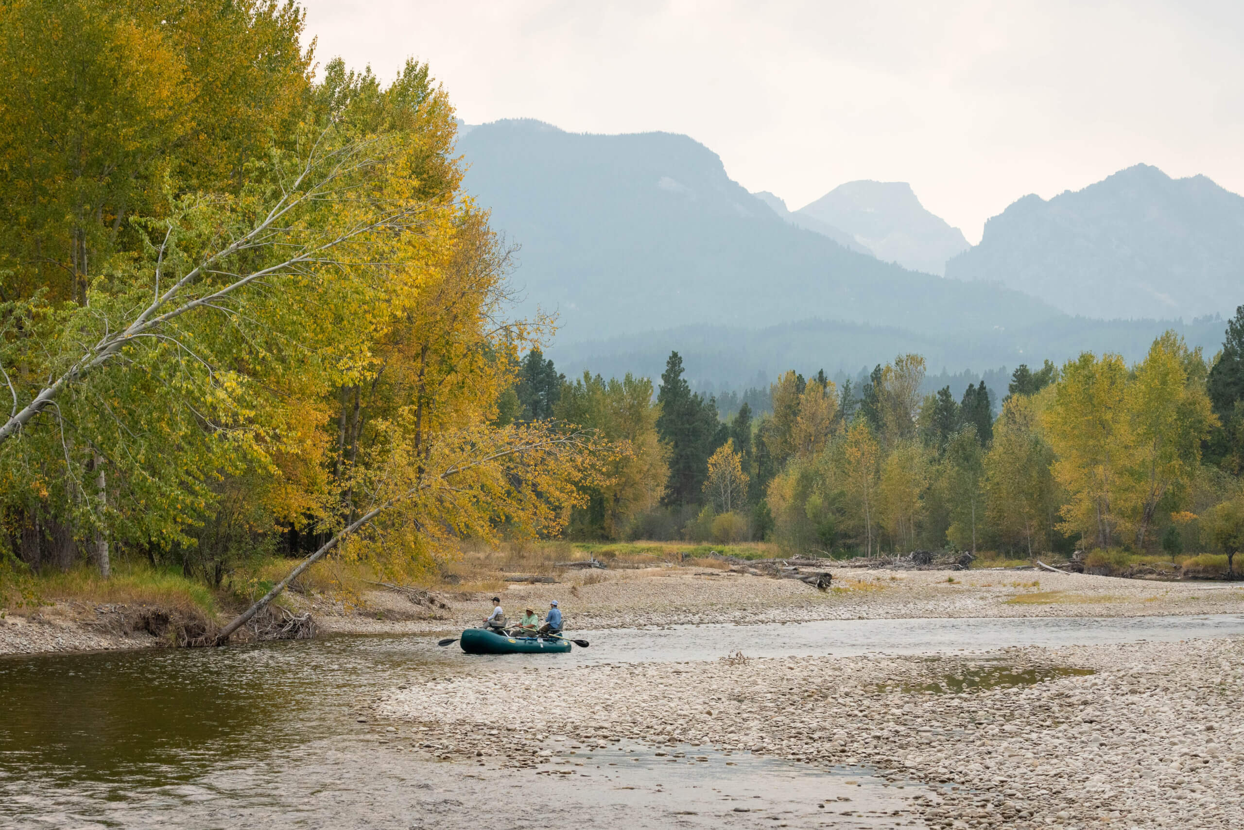 Guided Fly Fishing