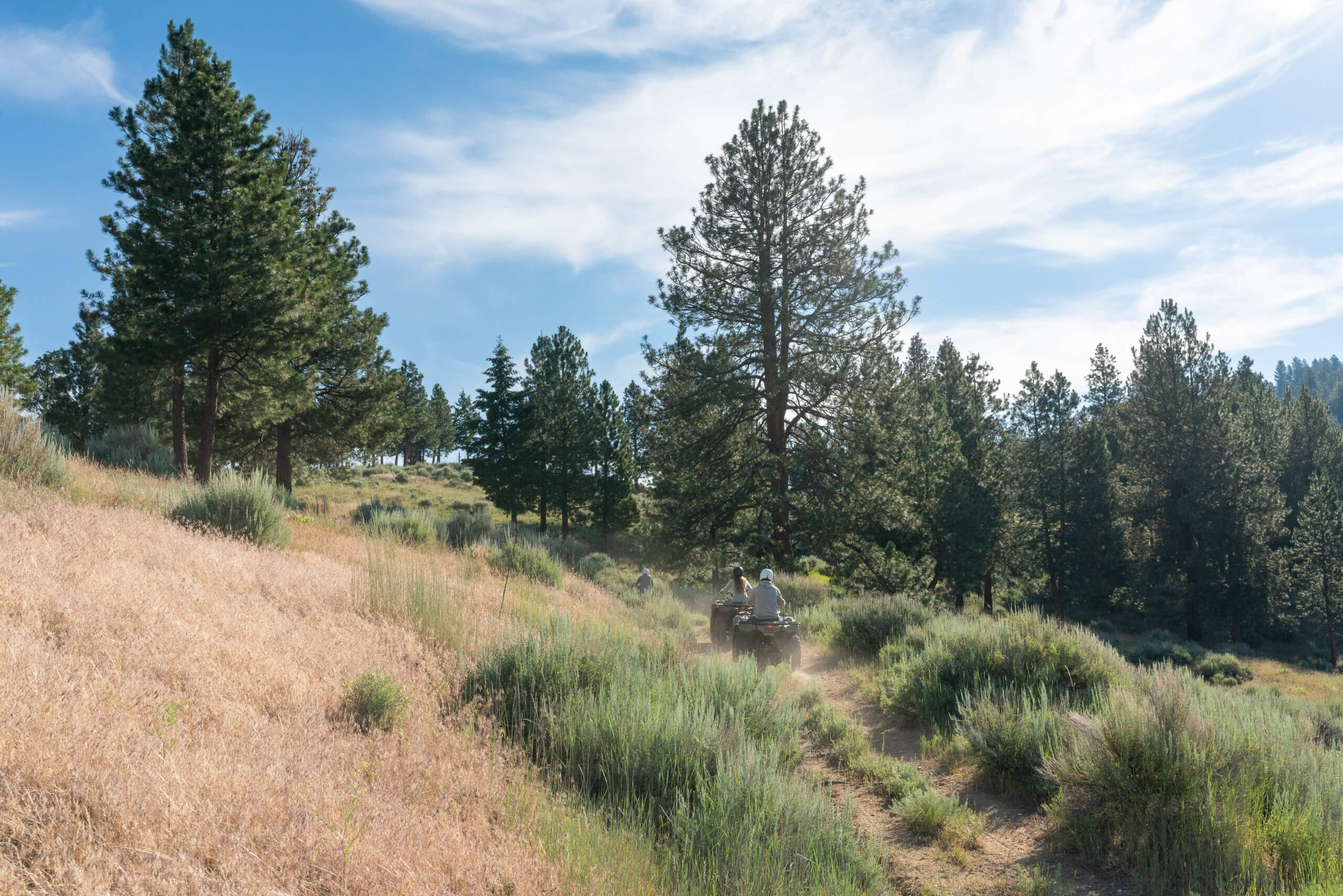 ATV - all terrain vehicle Triple Creek Ranch Experience on the CB Ranch