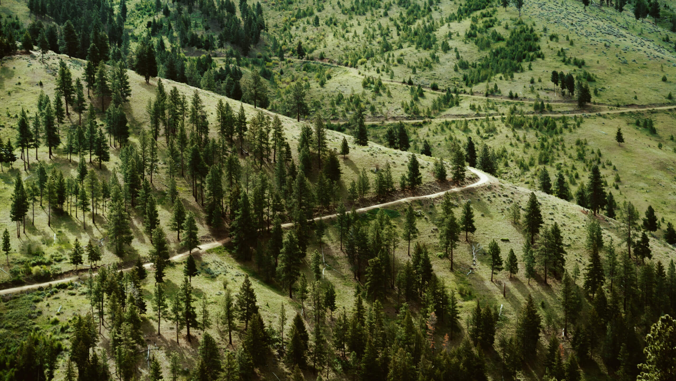 CB Ranch mountains and roadways on the ATV Ride with Triple Creek Ranch