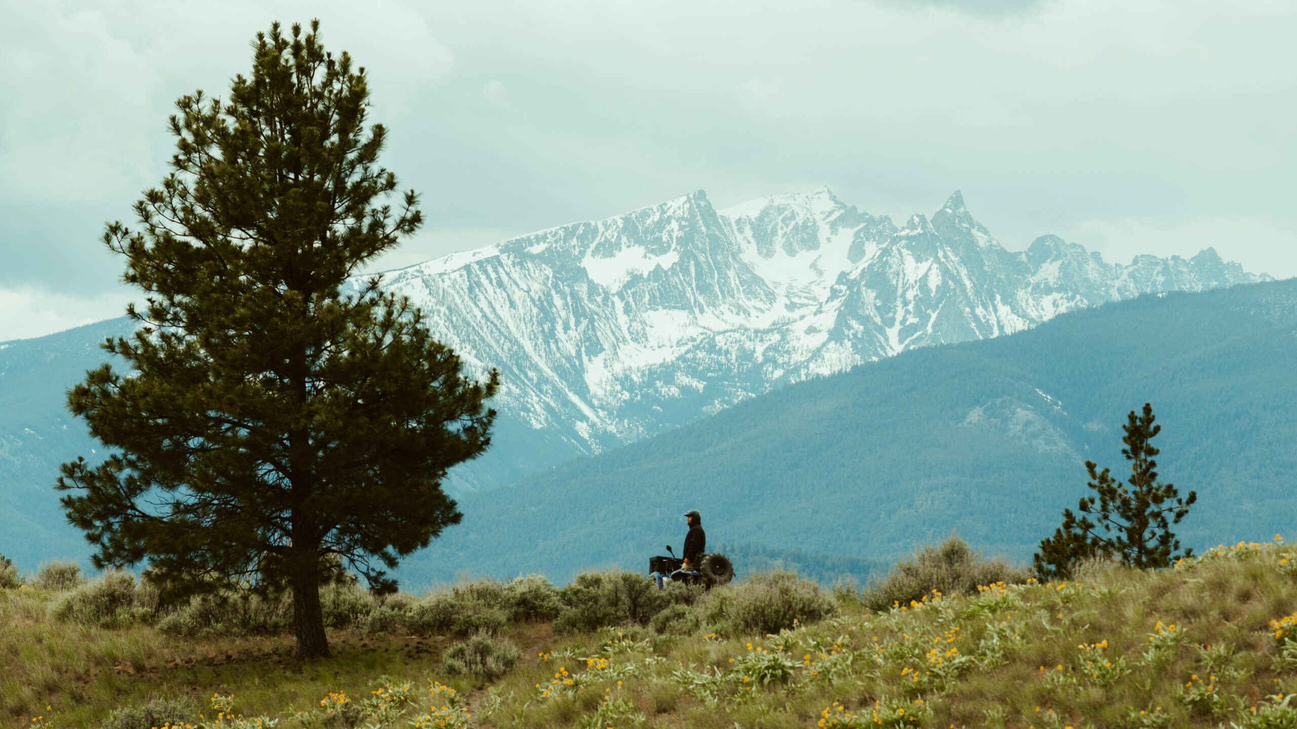 A man waling on a mountain