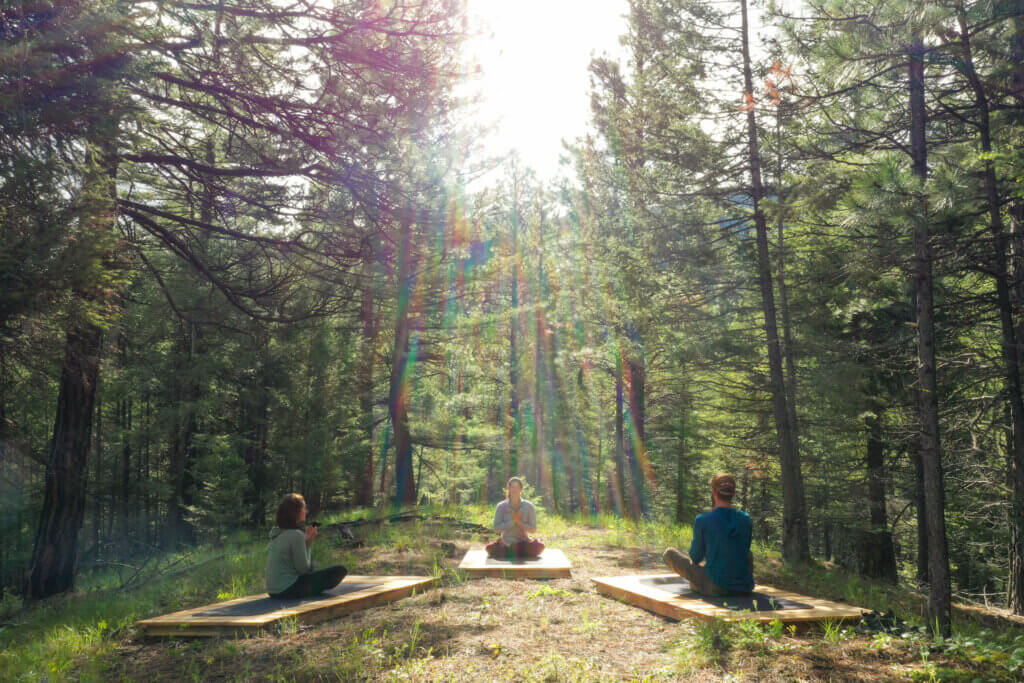 Yoga and Meditation