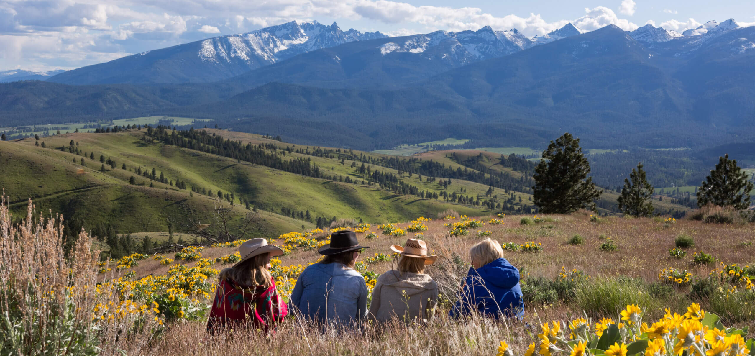 CB Ranch Vista View
