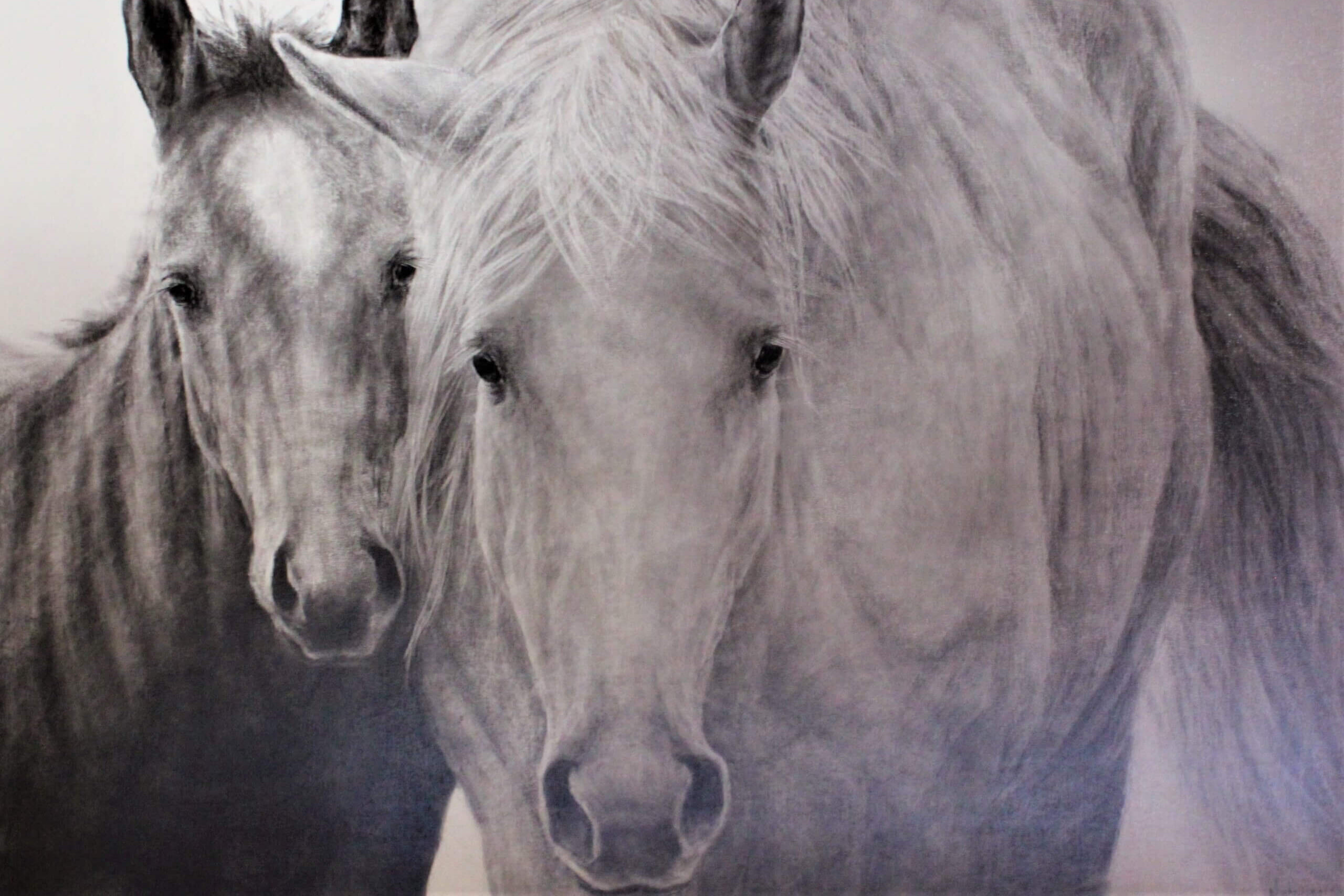 Julie Nighswonger Artist in Residence