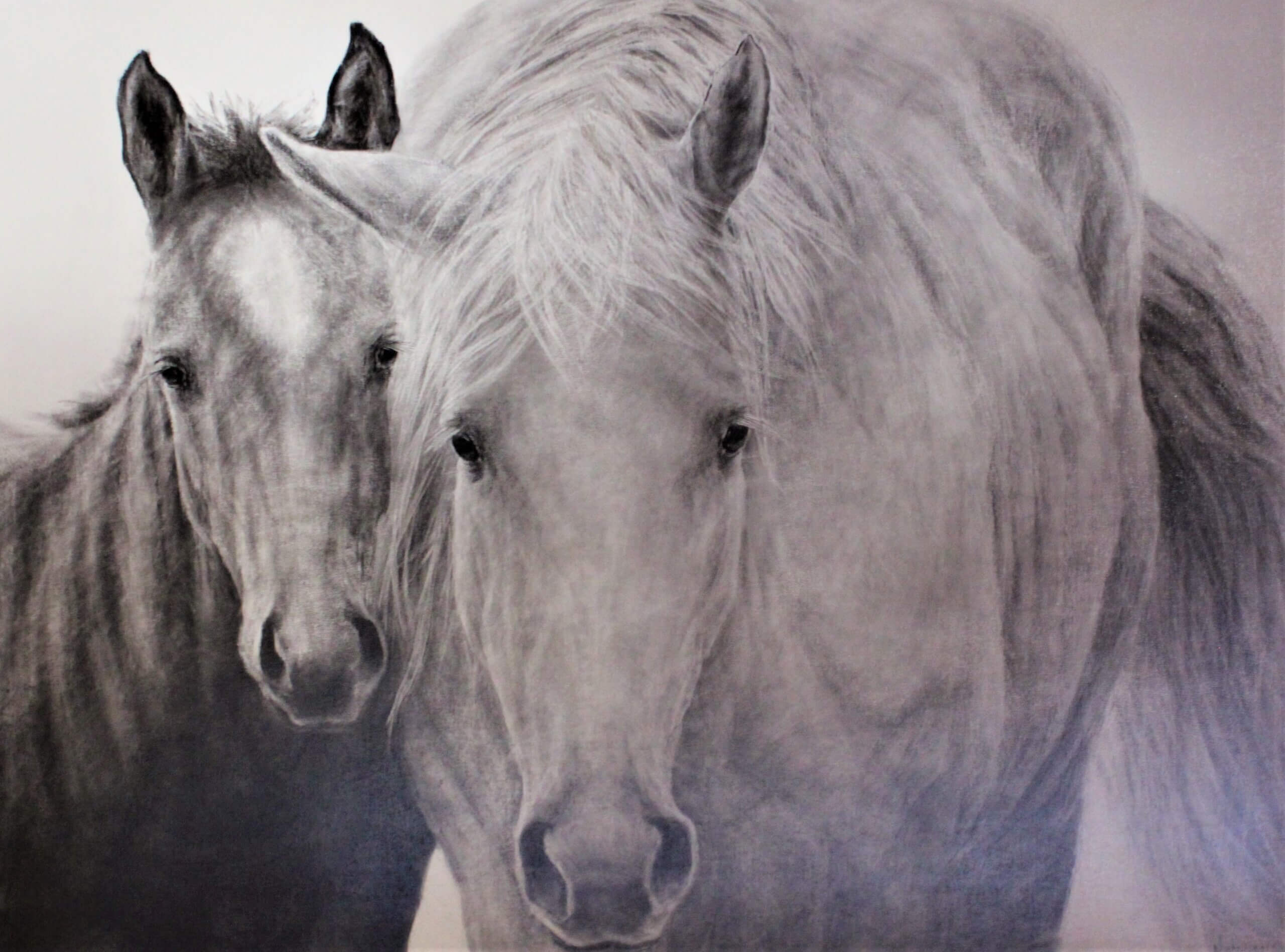 Julie Nighswonger Artist in Residence